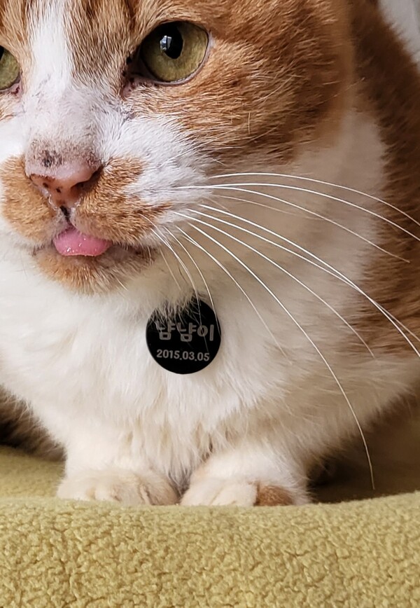 (사진=김유진 제공)