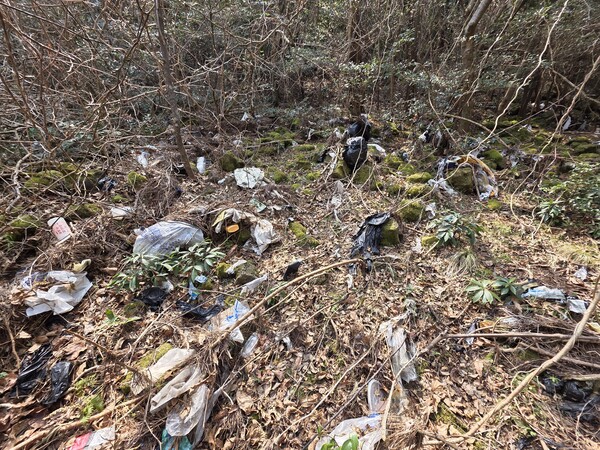   사진 곶자왈사람들 제공 