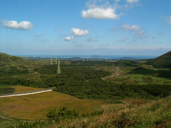 곶자왈 곶곶에 박혀있는 송전탑(사진=제주투데이 DB)