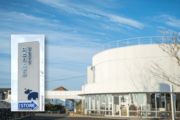 사진 제주TP 제공