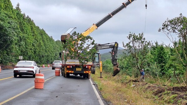 (사진=김순애 제공)