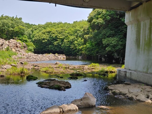 (사진=김순애 제공)