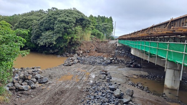 (사진=김순애 제공)