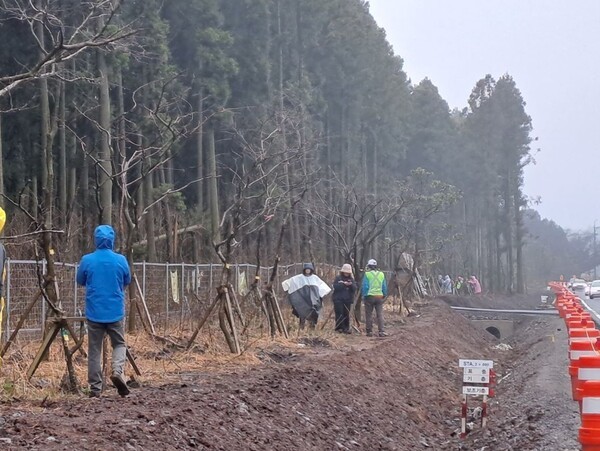 (사진=김순애 제공)