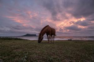 10월, 제주의 어떤 하루