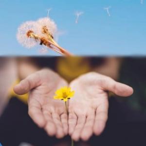 [김덕남 칼럼] ‘2-1=3’은 ‘나눔의 미학’ 공식