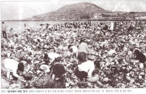 [성안유람]탑동 앞 먹돌새기 해안이 그대로 남아있다면