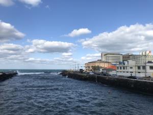 [성안유람]대학시절 데이트코스를 공개합니다