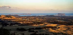 [임영근의글바다] 가문 잔치