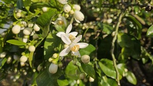 그래서 나는 남원으로 갔다-②