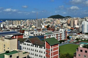 행정-교육 함께 가는 자치모형 구축하자