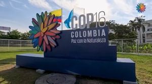 정부와 제주도정의 생물다양성 전략, 텅빈 &apos;공문구&apos;에 그쳐