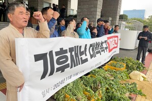 "제주 대표 작물 &apos;기후재난&apos; 피해...제주도정, 대책 마련 나서라"