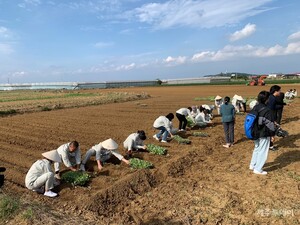 제주도, 내년 농업 분야 인력 3만2000명 공급