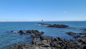 [길에서 만난 들꽃이야기] 7월, 길에서 만난 들꽃이야기(3편)