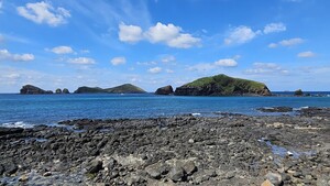 해수욕장서 사진 찍다가 물에 빠져...관광객 2명 구조