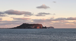 [길에서 만난 들꽃이야기] 성산읍 조개바당길