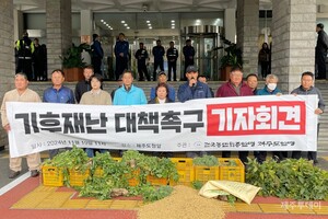 제주 농민단체 "벼 재배면적 강제 감축 즉각 철회하라"