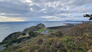 [길에서 만난 들꽃이야기] 탐모라질 6코스