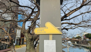 [길에서 만난 들꽃이야기] 성안올레 1코스