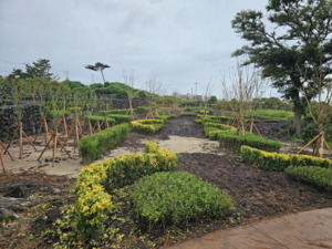 제주도교육청, 학교숲 가꾸기 참여 학교 공모