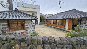 [길에서 만난 들꽃이야기] 성안올레 3코스