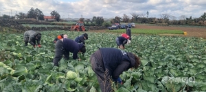 제주도, 청년농업인 육성 기본계획 발표