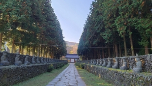 제주 &apos;전통사찰 보존 및 지원 조례&apos; 제정 정책간담회 개최