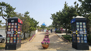 [길에서 만난 들꽃이야기] 우도 &apos;훈데르트바서파크&apos;