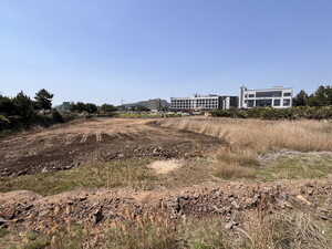 제주환경운동연합 "오조리습지보호지역 불법 매립 원상복구 해야"