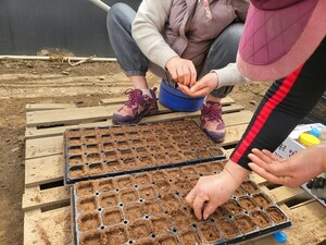 기후위기 시대에 씨앗을 뿌린다는 것