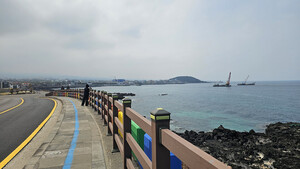 [길에서 만난 들꽃이야기] 제주시티투어버스 타 고 &apos;도심여행&apos;