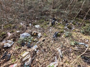 곶자왈 내 각종 폐기물 무단 투기는 늘어나는데…