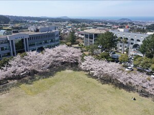 제주관광대학교, 베트남 홍보대사 위촉