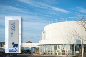 제주도-제주테크노파크 상장기업 육성 프로그램 결실