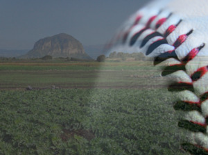 오영훈의 송악산‧알뜨르 스포츠타운 조성 계획에 분노한다