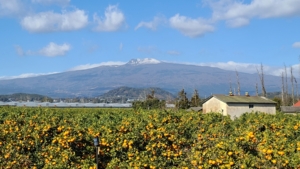농업인단체협의회 "지속가능한 질적 전환으로 나아가야&apos;