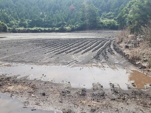 제주 집중호우 농가 피해 신고 접수 25일까지