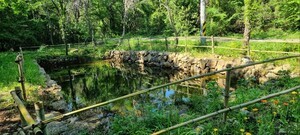 제주도, 11월 10일까지 생태계지불제 컨설팅 신청 접수