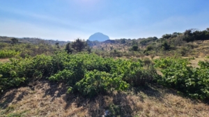 동백동산·화순곶자왈서 보고 듣는 지질 이야기 참가자 모집